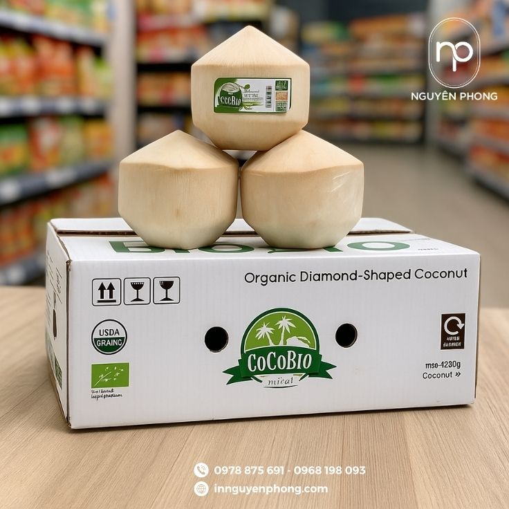 Mẫu thùng carton đựng dừa in đẹp
